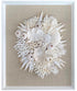 Natural Coral, Shells and Urchin on Linen Wall Art
